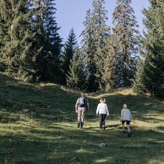 Drei Personen wandern eine Wiese in einem Waldgebiet empor.
