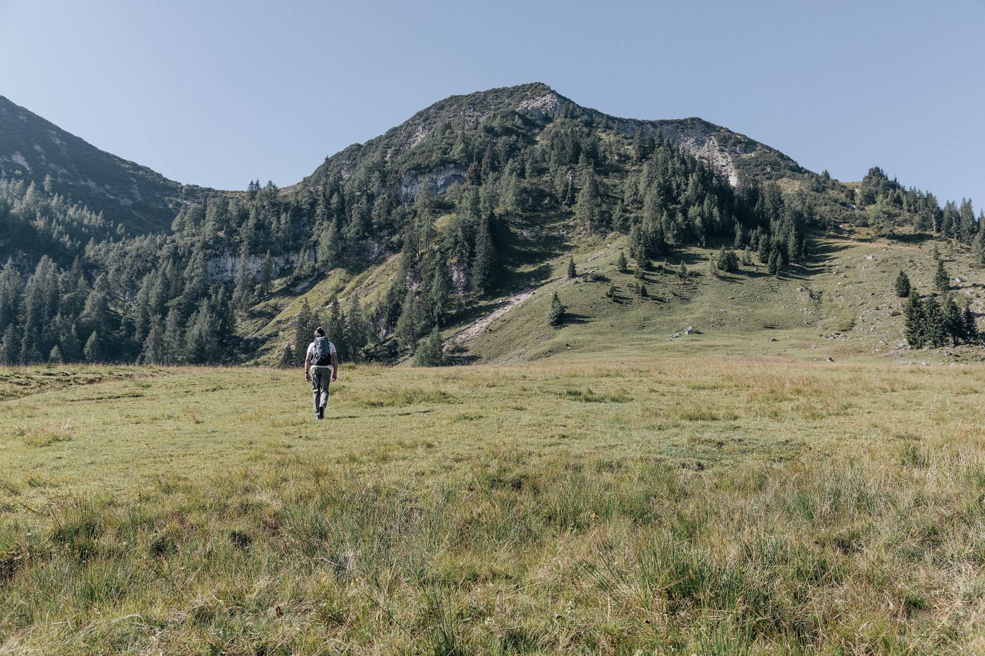 Vom Wandern zum Schauen im Thierseetal Ein Wanderer geht über eine weite Wiese auf einen Gipfel zu.