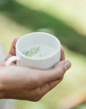 Manchmal bedeutet Achtsamkeit die Augen weit aufzumachen Eine Hand hält eine Tasse mit Wasser und einem Tannenzweig darin.