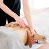 Masseur gibt eine Maderotherapie-Massage.